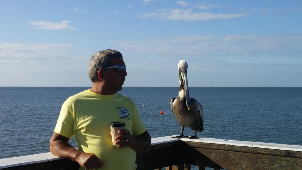 AmberStassi's tweet image. Rich is having coffee with the pelican.  whats up bird"