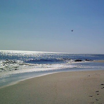 HamptonsCupcake's tweet photo. It's a beautiful day in the neighborhood #rogersbeach .
.
.
.
.
#westhamptonbeach #justgoshoot #acolorstory #hampt… https://t.co/VChQkilLSr https://t.co/L1DCKXAWYG