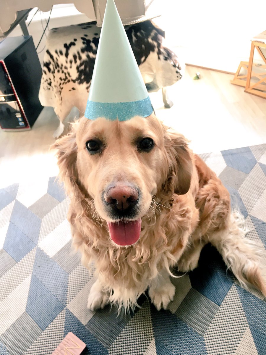 HobBrighton's tweet image. #Sun is shining, today is the day! ☀️Huge #gardenparty with #DJS until 9pm! #Brighton #Saturday  ☀️🎉