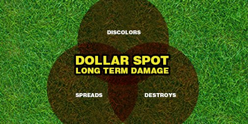 WeedProLawnCare's tweet photo. Warning: Dollar Spot is Here 
#WeedPro https://t.co/0DO97Ctm5C