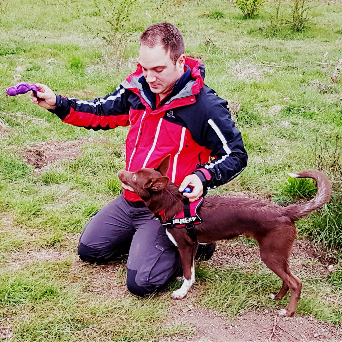 HSARDogs's tweet photo. We're recruiting. https://t.co/VrmFvR70RT https://t.co/2KPNzmSTo9