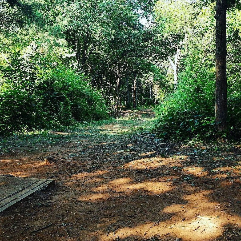 Stuart Neal tweet media