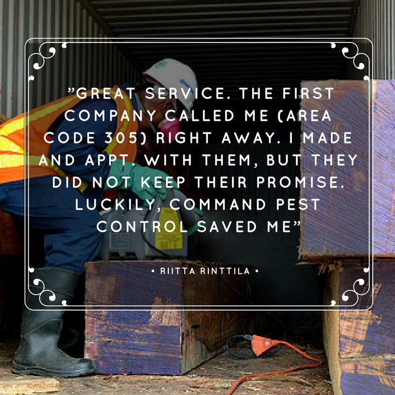 commandtermite's tweet image. Sometimes the smallest construction difference can mean a huge difference in how we would treat your infestation.