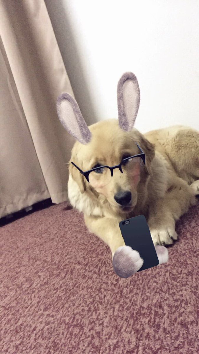 pamcpp's tweet image. #EsteFinde selfie selfie