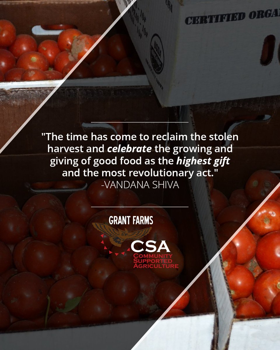 GrantFarms's tweet photo. Start a revolution! Join our CSA today. Use the code "1weekfree" at checkout to get your first week FREE: https://t.co/THy06iy4wc https://t.co/TCjjpsUn7P