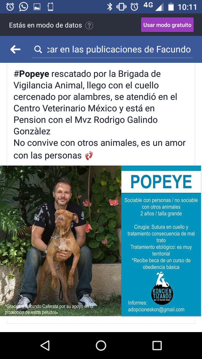 facucaferatta's tweet photo. Recuerden que hoy es un buen día para adoptar un nuevo amigo. https://t.co/udCP0L9czD