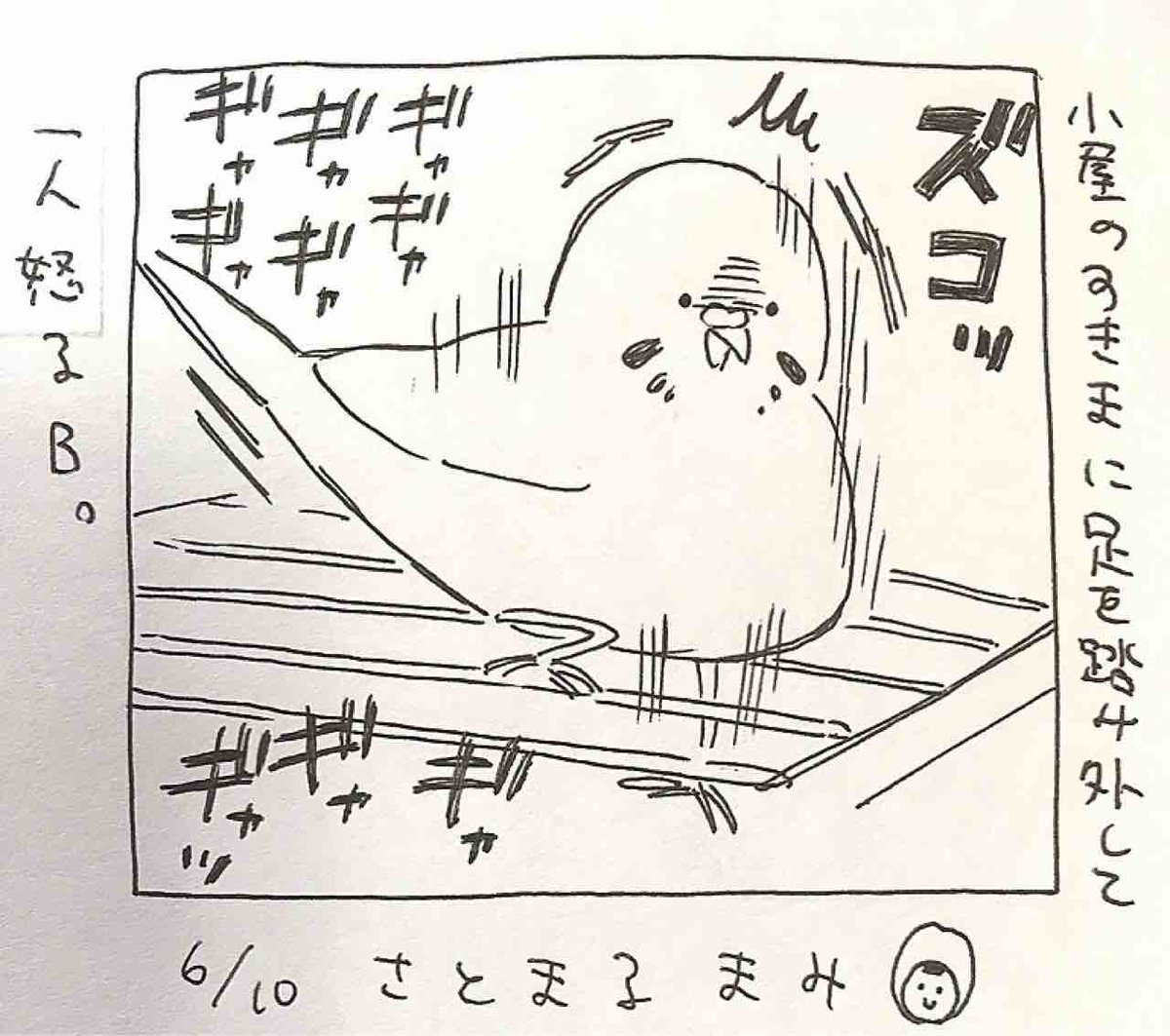 3日に1つぶ   6/10 