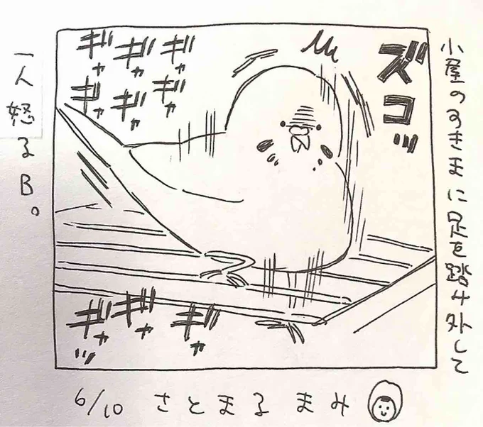 3日に1つぶ   6/10 