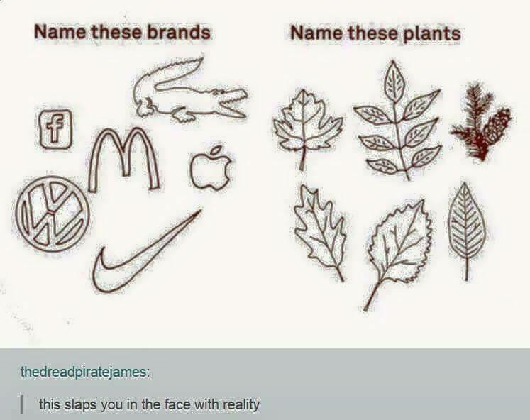 Adbusters's tweet photo. https://t.co/l73dLLYeKR