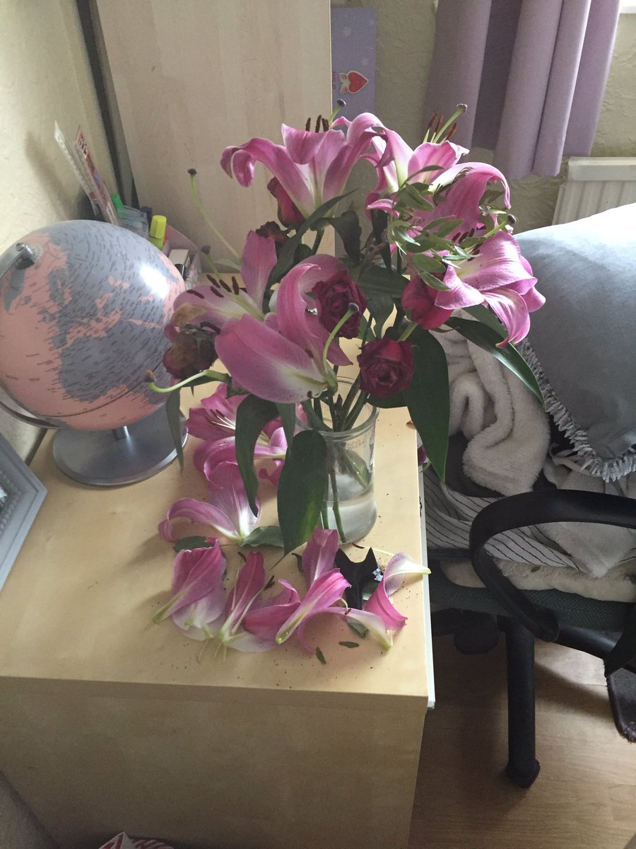 Thomas Hutchings tweet media