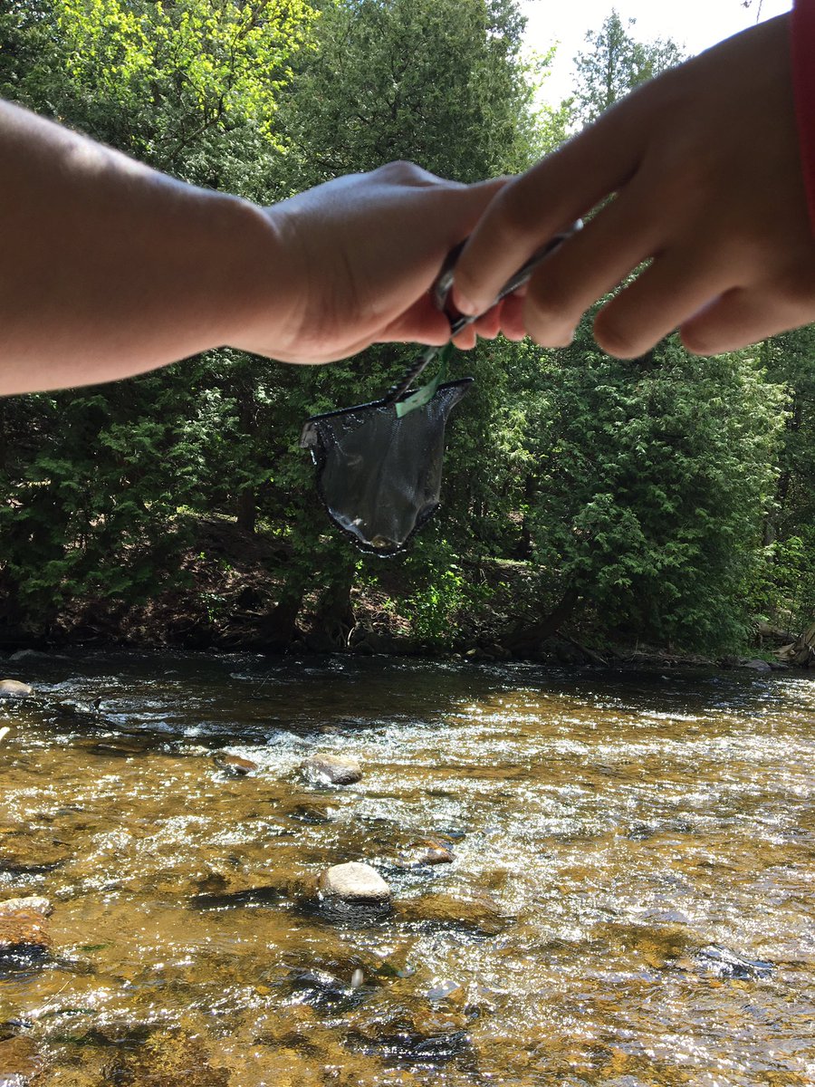 MrCarroll_TDSB's tweet photo. Salmon release was a blast with @mrblake85 @ParkLawnJMS @lanorjms @CindyBeneteau &amp; Mr. Smith! Couldn't ask for better weather! https://t.co/TSPsRhryDu