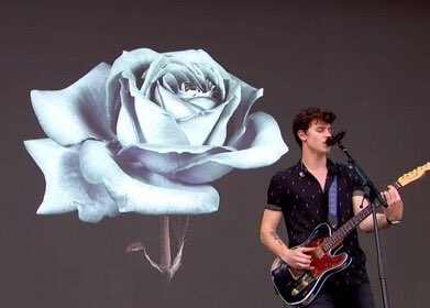 smendesprivate's tweet photo. 🌹💡 https://t.co/81g2QOSn72