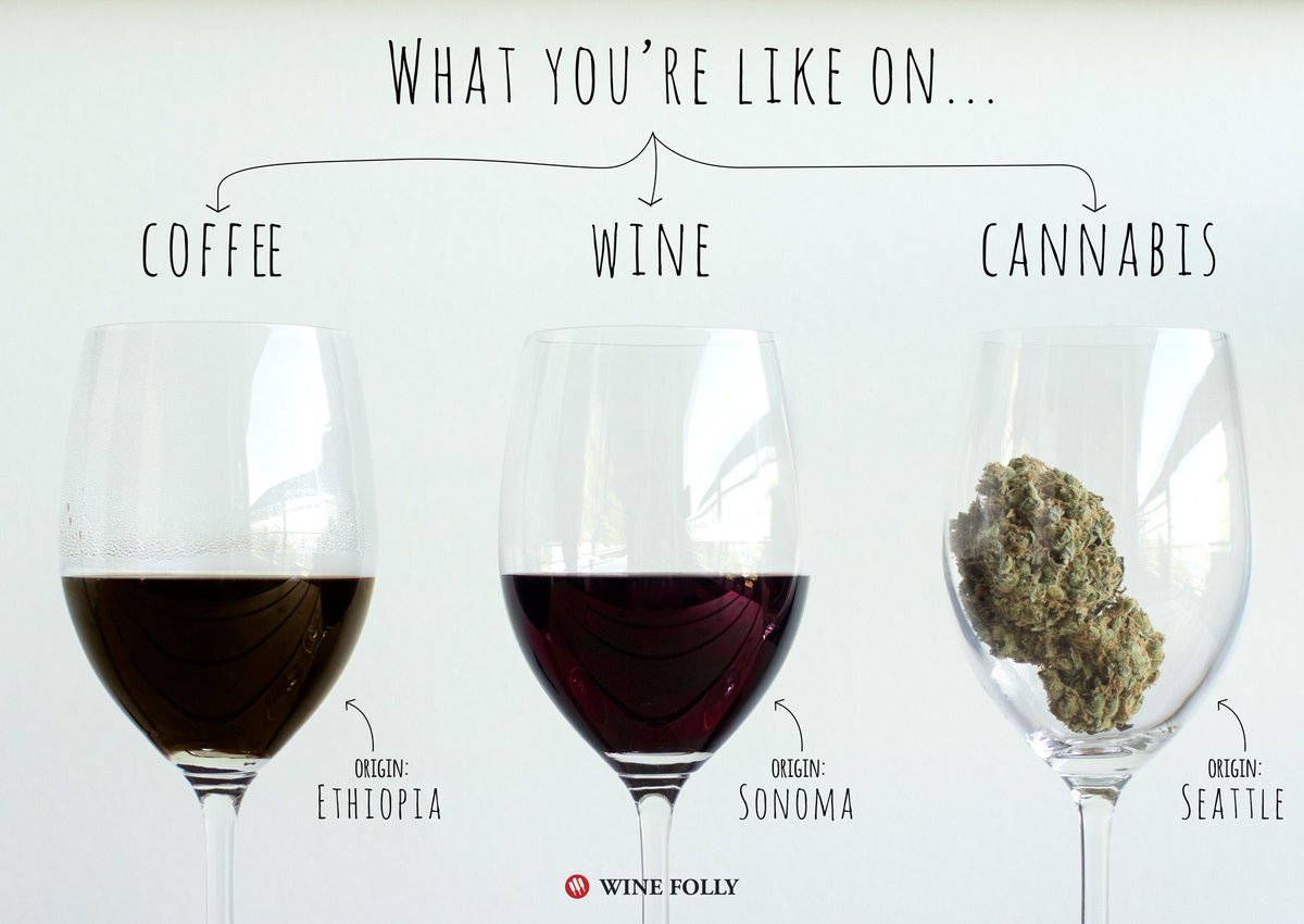 WineFolly's tweet photo. Coffee vs. Wine vs. Cannabis.  btw. We made this in Seattle!  https://t.co/hljsdIGbV9 https://t.co/IBruSBd8mn