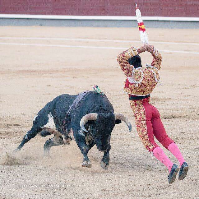 Info_JEColombo's tweet photo. Hace una semana, a estas horas...
C O L O M B O ....!!! 
Pasó por @LasVentas !!
#Colombo
#PróximamenteEnTodasLasFerias
#NovilleroEnNovillero https://t.co/OQygwJCnfm