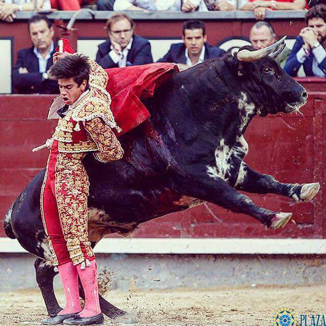 Info_JEColombo's tweet photo. Hace una semana, a estas horas...
C O L O M B O ....!!! 
Pasó por @LasVentas !!
#Colombo
#PróximamenteEnTodasLasFerias
#NovilleroEnNovillero https://t.co/OQygwJCnfm
