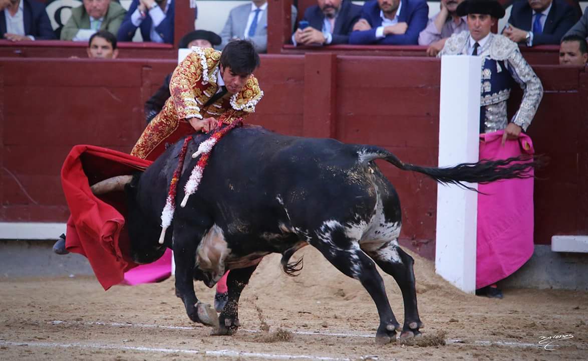 Info_JEColombo's tweet photo. Hace una semana, a estas horas...
C O L O M B O ....!!! 
Pasó por @LasVentas !!
#Colombo
#PróximamenteEnTodasLasFerias
#NovilleroEnNovillero https://t.co/OQygwJCnfm