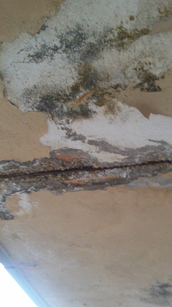 VergognAtac tweet media