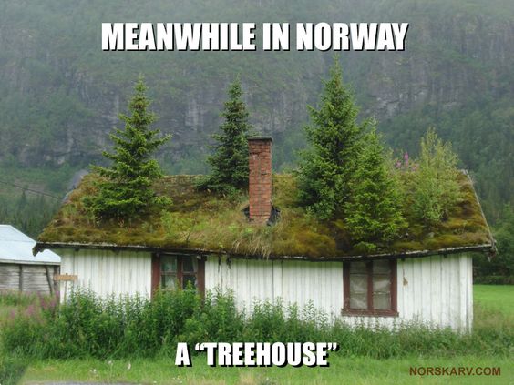 YardProduct's tweet photo. Ain't that the truth! #landscapinghumor #gardeninghumor https://t.co/Nk6Uy6I8Dm