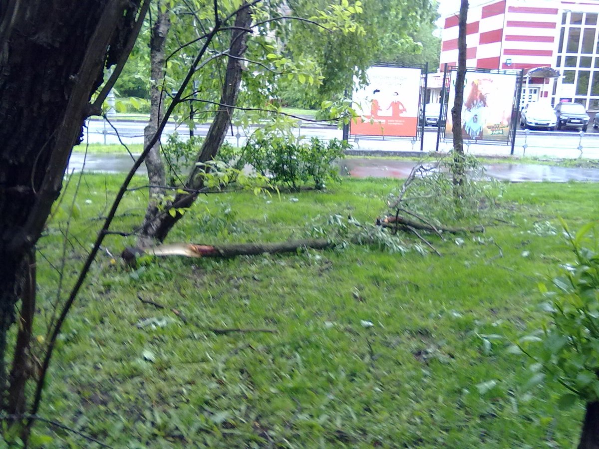 Ураган в сланцах. Смерч в москве 1998. ураган в москве 1998.