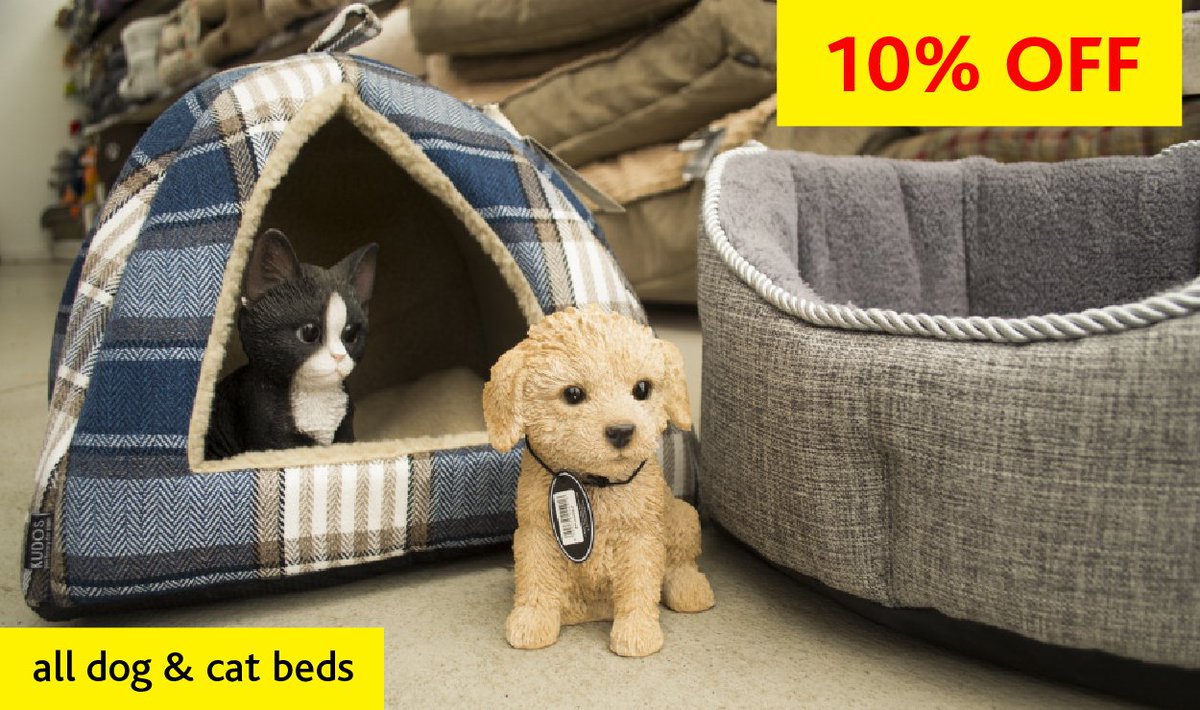 colettaandtyson's tweet photo. Our gorgeous dog & cat beds now have 10% off - hurry while stocks last only valid until 4th June #4pets #pets #dogsofhull #catsofhull https://t.co/KXQNgbIGm5