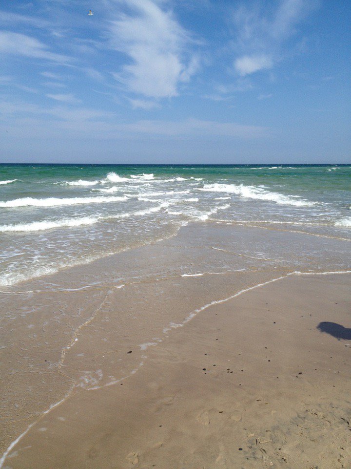 まあのあなしゅ グレーネン岬 スケーエンから５km程先にグレーネン岬がある 北海 スカゲラク海峡 とバルト海 カテガット海峡 の２つの潮流の接する潮目の場 波と波が重なり合う 塩分濃度が違う為に境目が明白 白い砂浜が続く バード ウォッチングの