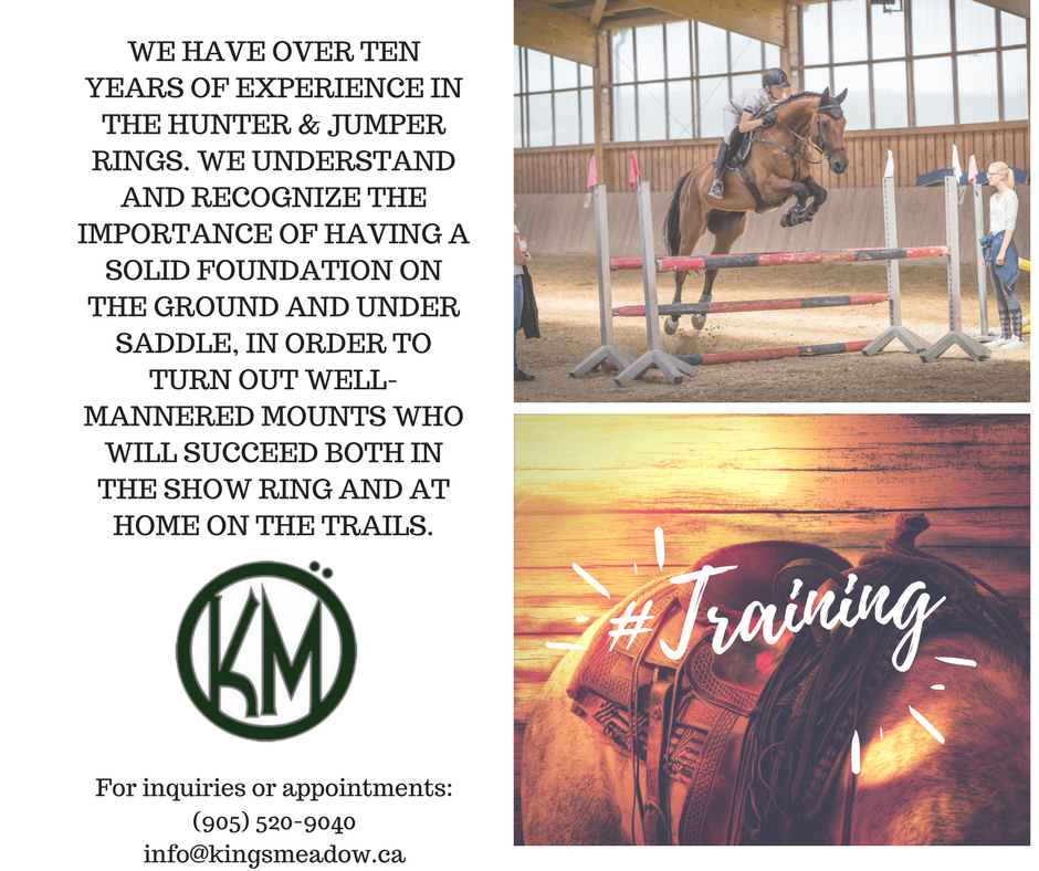We Love #training #breeding #EquestrianCentre #Hunter #jumper #KingsMeadowEC #PuslinchOn #HamiltonOn #Horse