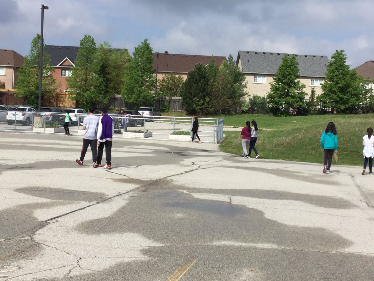 JeffriesJournal's tweet photo. Using our school outdoor classroom to learn and search for living things. @FossilHillPS @FH_EcoTeam @YRDSBEcoSchools #livingthings https://t.co/zY5ag3IYDK