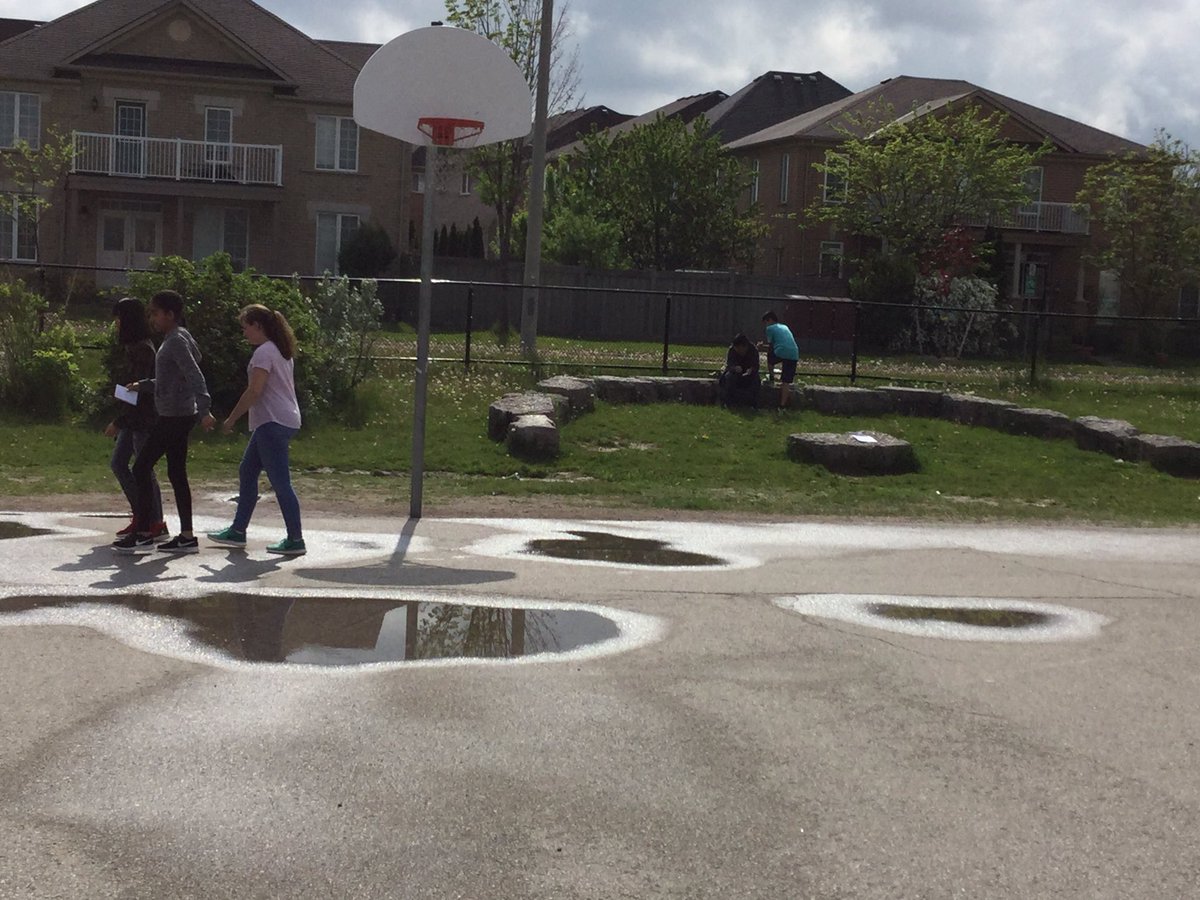 JeffriesJournal's tweet photo. Using our school outdoor classroom to learn and search for living things. @FossilHillPS @FH_EcoTeam @YRDSBEcoSchools #livingthings https://t.co/zY5ag3IYDK