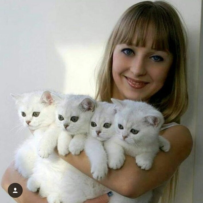 Warmpets's tweet photo. ,😻#crazycatlady😻 https://t.co/FKrqkgLUXR