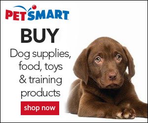 muttypawss's tweet photo. 30% off one item at Petsmart! Today only!
https://t.co/gXd51dbYoP
Use Code: WEEKEND30
#deals #free #dogs #muttypaws https://t.co/4e6cT1kwmj