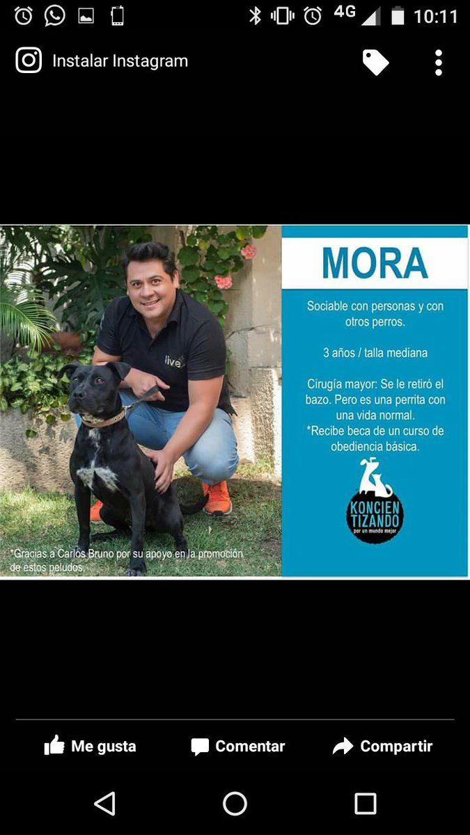 facucaferatta's tweet photo. https://t.co/czw6UtQsq4
