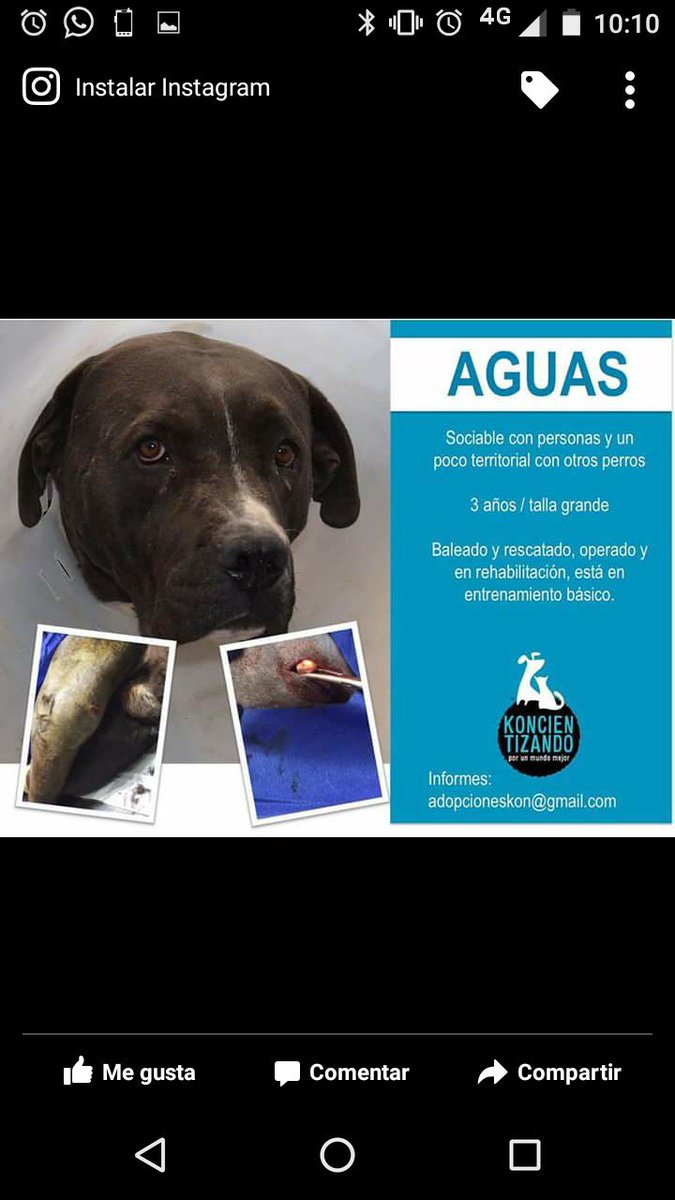 facucaferatta's tweet photo. https://t.co/0leyR4f7R0