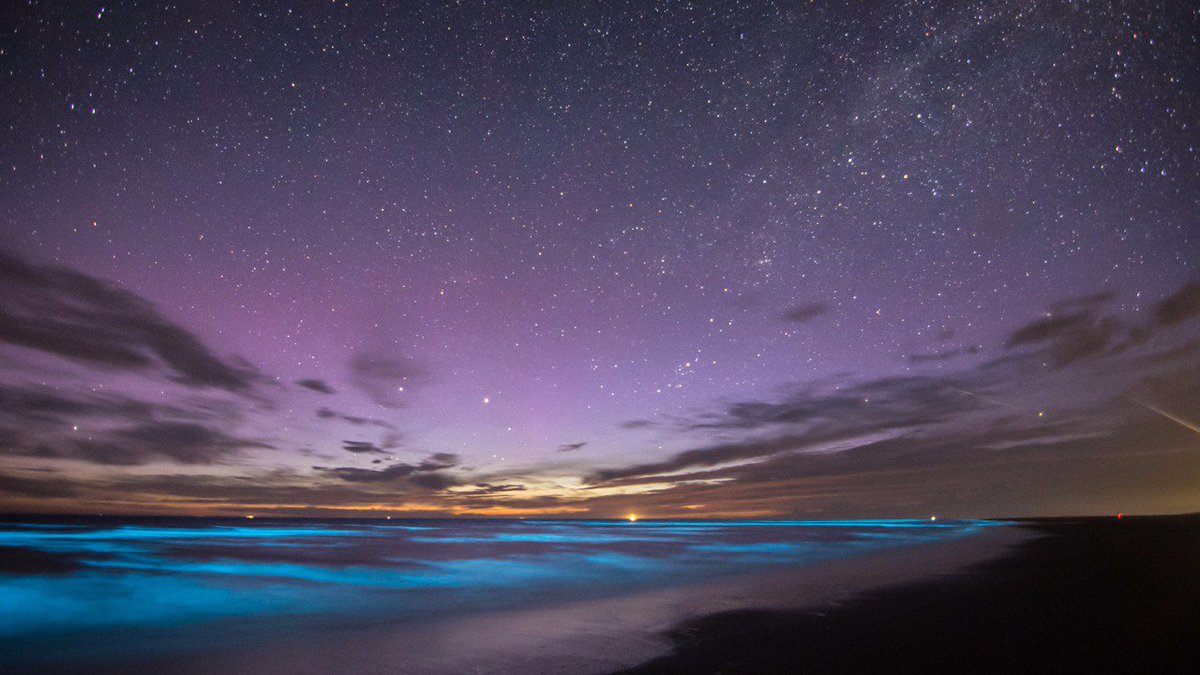 NHNieuws's tweet photo. Magische beelden door noorderlicht en zeevonk op Texel https://t.co/eUsqB4Osa0 (foto door @WBMol) https://t.co/h0oUFUUz0q