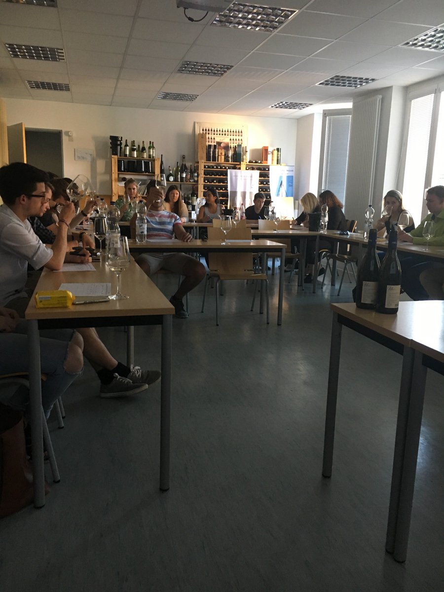 GrapeSociety tweet media