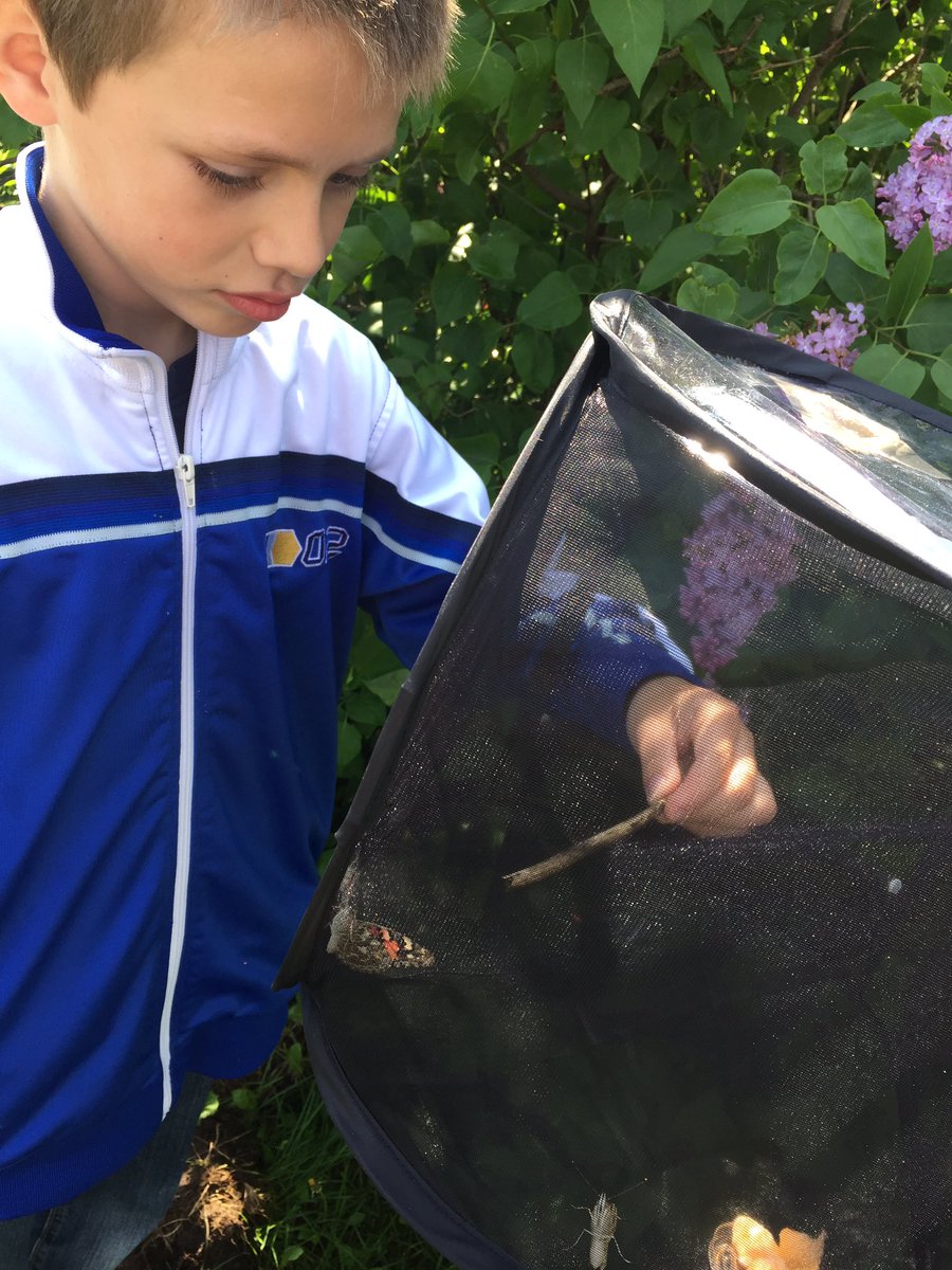 krmiller86's tweet photo. Butterfly Release Party was a success! Mixed emotions to say goodbye to our friends. 🦋 #sweetsweetnectar #solongbiggie2.0 @JamesLangner https://t.co/noKx34UoYD