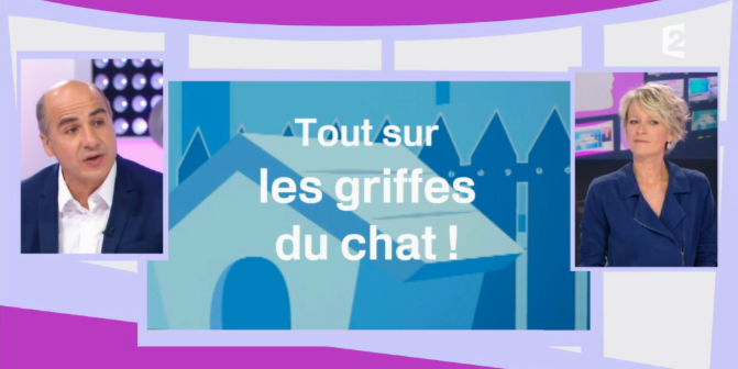 Des spécialistes et des propriétaires de #chats ont testé Feliscratch et en parlent dans <a href="/CAP_France2/">C'est au programme</a> ! france.tv/france-2/c-est…