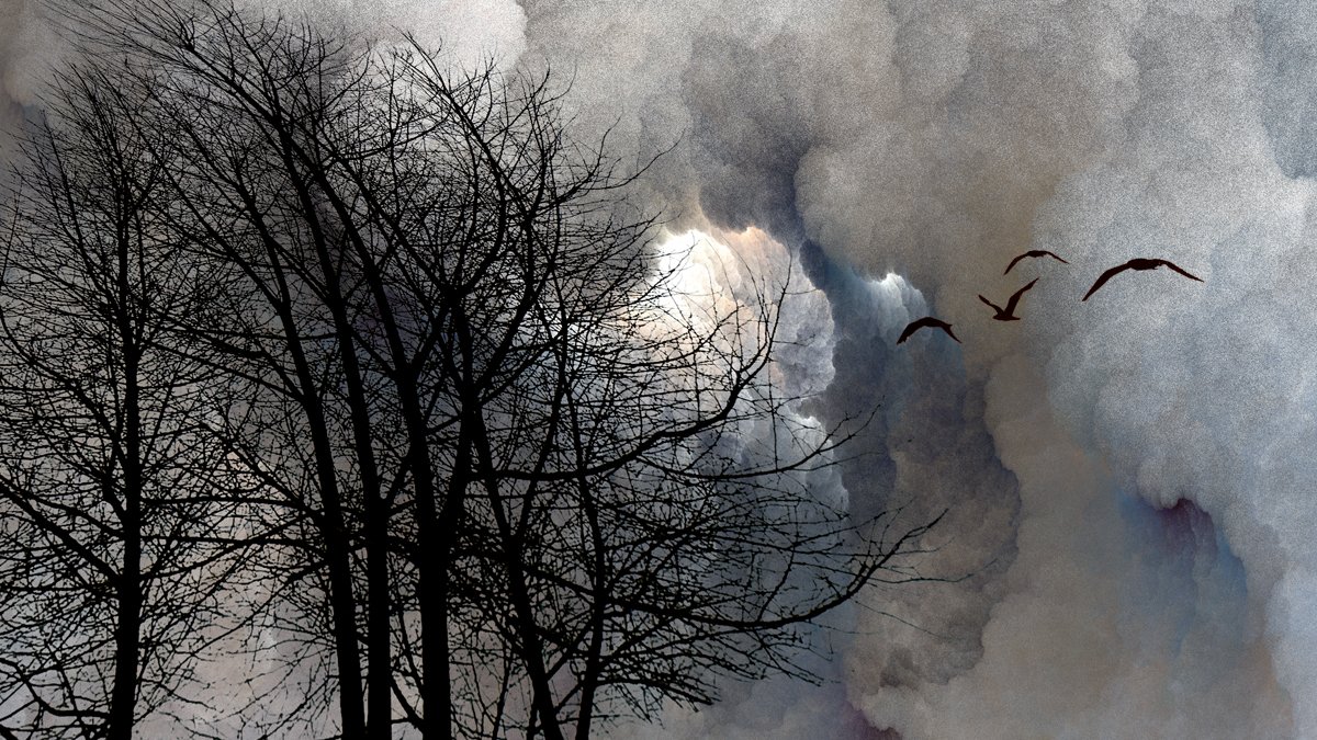 vermontarts's tweet photo. "Take Flight", a solo exhibition by @gloriamerritt Gloria King Merritt at https://t.co/yznXm3JrG7 until June 1st.  #Vermont #Digital #Art https://t.co/poNvaOE0Bw