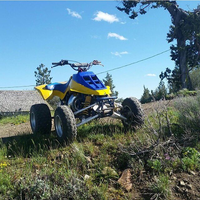 805quads's tweet photo. Suzuki LT500 #805quads https://t.co/9V1iPFRrlw