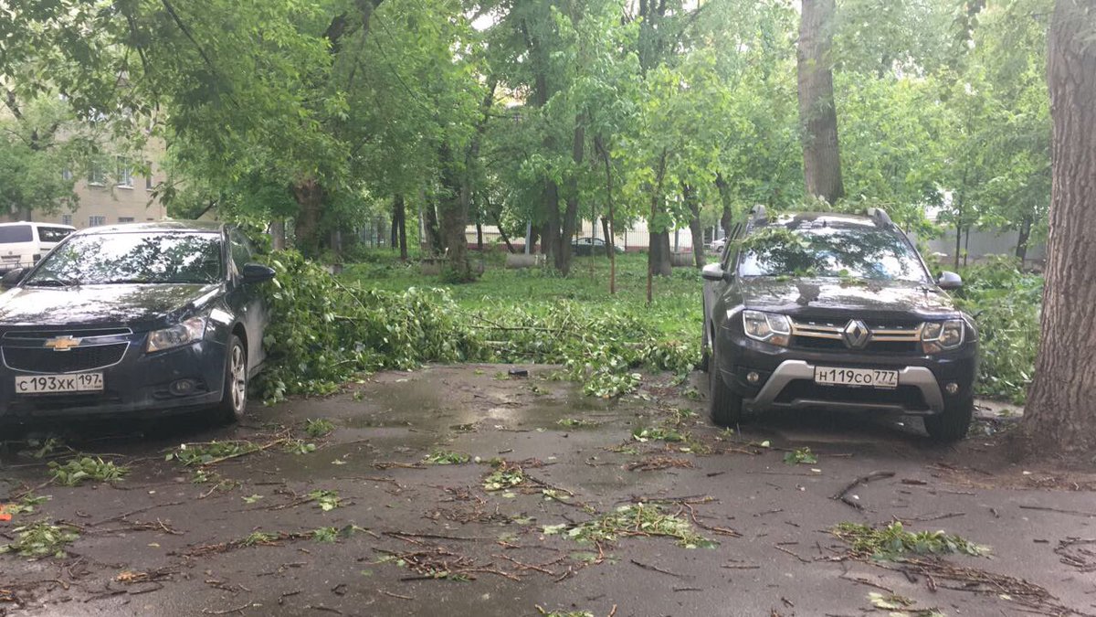 AutoVigoda's tweet photo. 🙄29 мая 2017 года, в Москве бушует #ураган, а так все норм. #ураганвМоскве https://t.co/1nPyeDDNWc