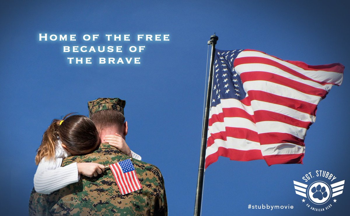 StubbyMovie's tweet photo. Take time to honor our fallen heros today. #Stubbysalutes #freedom https://t.co/1LJCb6wm5c