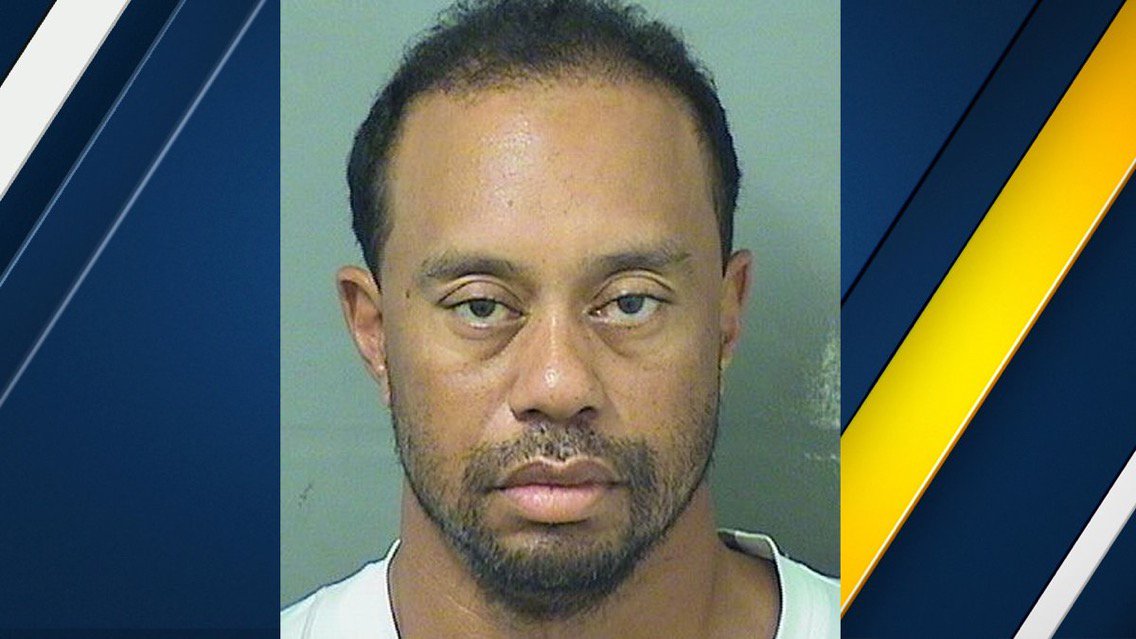 realtalkforyou's tweet photo. I didn't wanna talk about Tiger but then I saw his mug shot....#DontMakeMe #NightsLikeDis #Raindrops #WillFall #Tiger https://t.co/NfI9fXjX5i