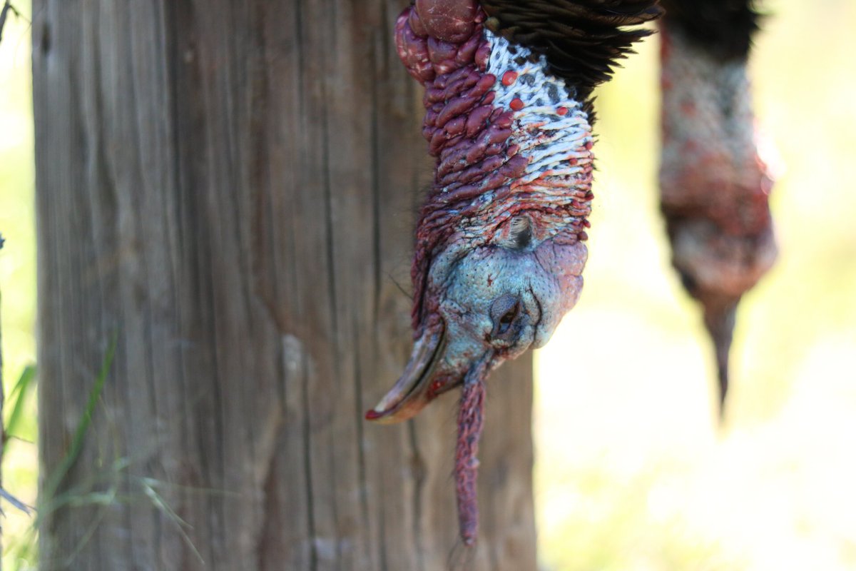 Remembering those who sacrificed for the red, white and blue.#happymemorialday #powkeepsi #wtr17