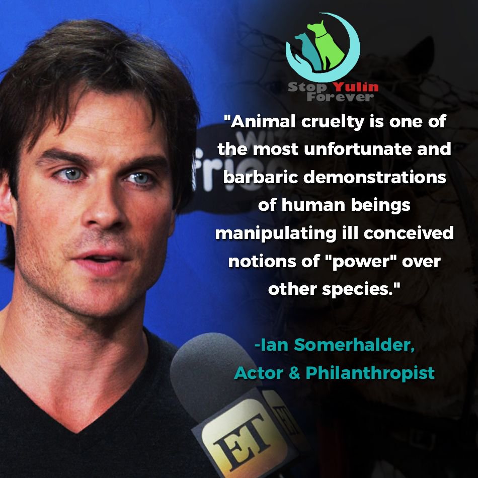 stopyulinforevr's tweet photo. . @iansomerhalder expressed his strong sentiments against the dog meat trade in Asia and around the world. #StopYulinForever #AllyForChange https://t.co/OQeTecukiu