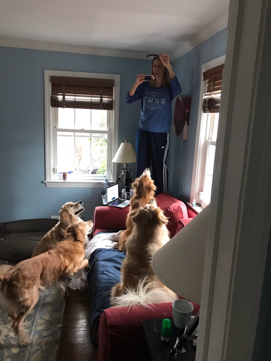 TheGoldenRatio4's tweet photo. How the magic is made. https://t.co/Zasxh5DLnQ