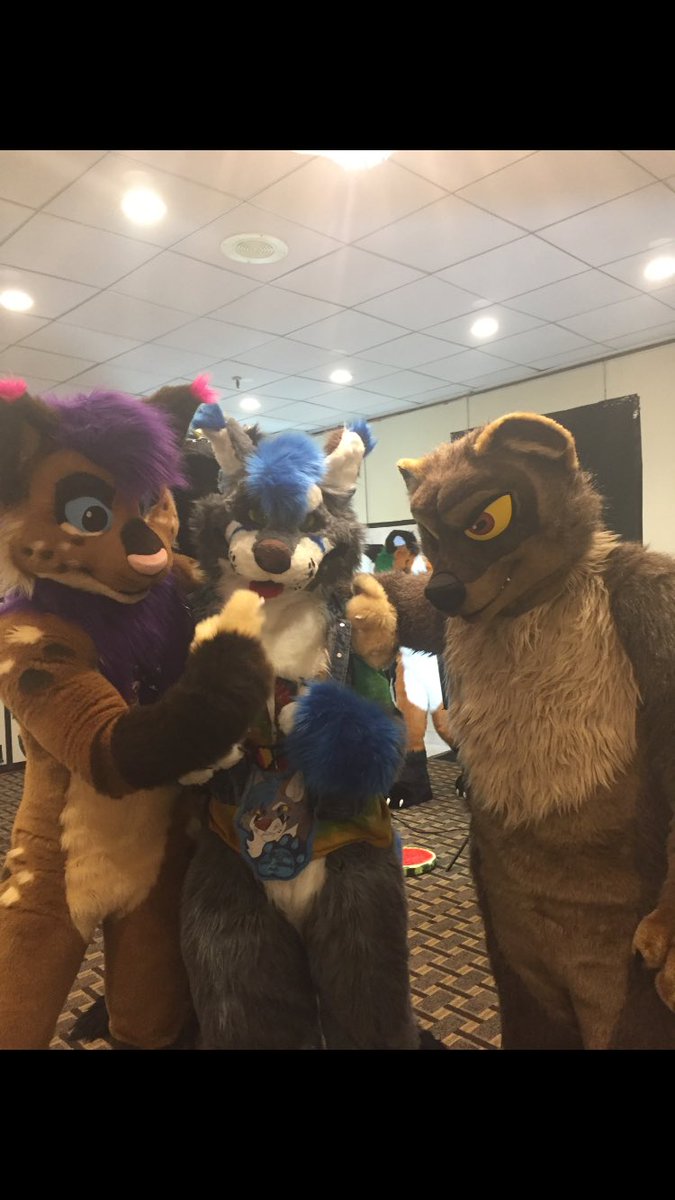 ExclipzeWolf's tweet photo. Pics from #furxoticon https://t.co/BN8YE4EV5G