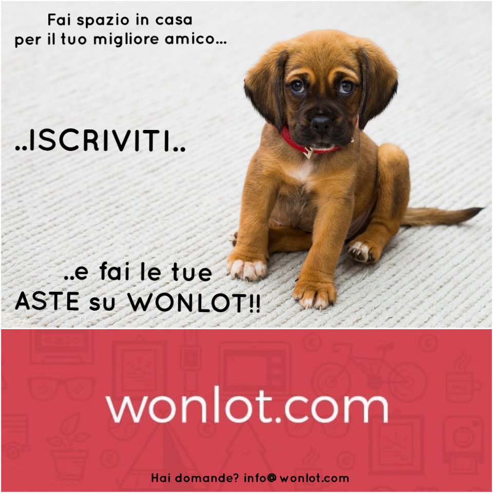 wonlot tweet picture