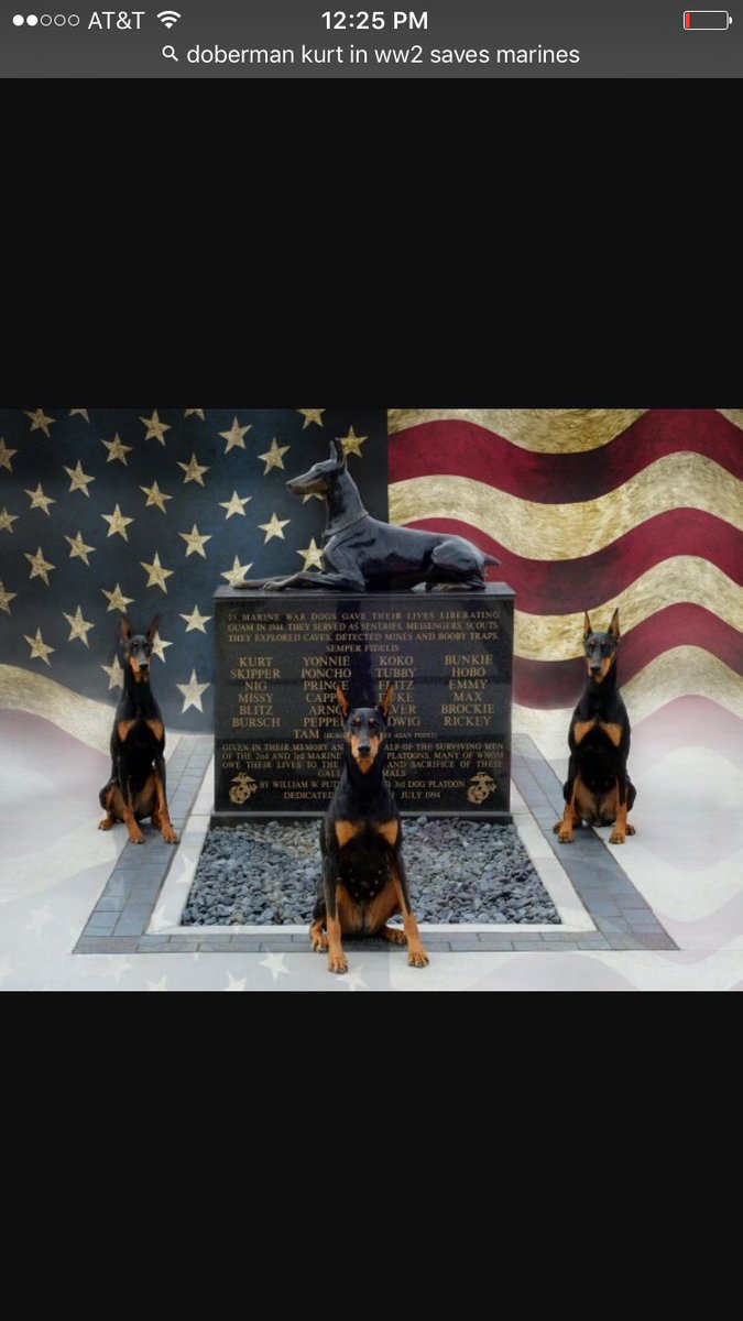 #MemorialDay #RemebertheFallen as a Doberman lover, here's tribute to Kurt, who saved 250 US Marines. known as Devil Dogs #freedomisnotfree