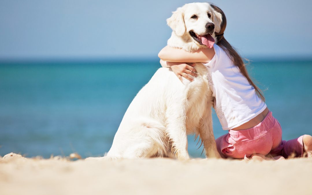 MundoMediterran's tweet photo. Discover the 7 beaches in which masters and pet can swim without restrictions! #mundomediterraneo #summer #beach https://t.co/CCSADRjpgp