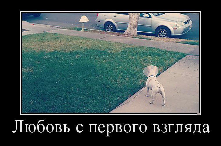 На каждую дыру выросло по затычке. bit.ly/2rwb1iH