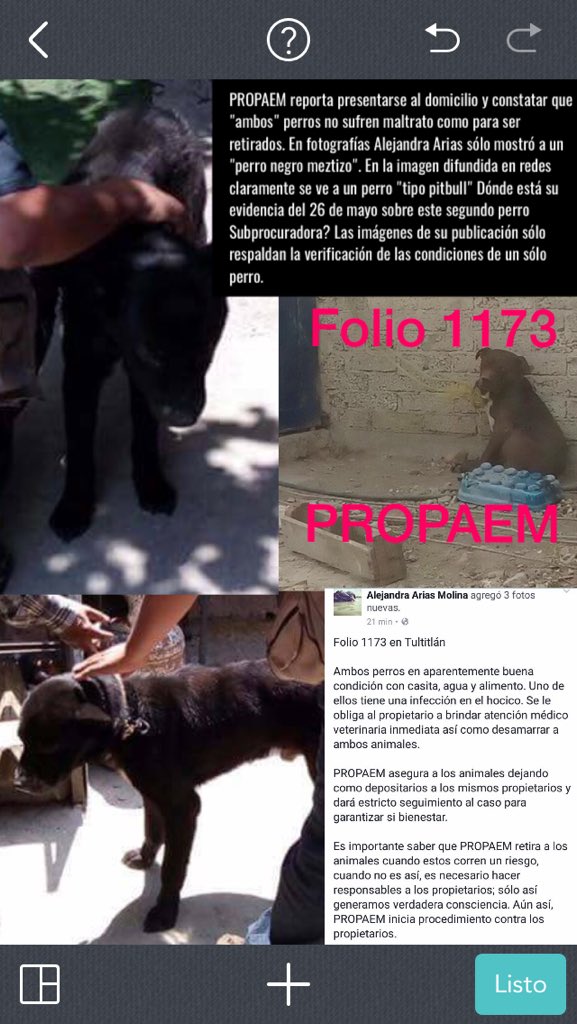 Buscando1amigo's tweet photo. @Paola_Ortal @propaem_sma @aleariasmolina @eruviel_avila @Gestion_Eruviel @raoulvargas @SMAedomex @ErnestoSispa @Eliza_SotoP @LeoJabbasky @UribeMerle @alezazulyoro @rumabo1 @DefensaAnimal @KrysCobain Todo por querer hacer como que trabajamos... y los pobre perros pagan su incompetencia 👎🏼 https://t.co/lbgw2ehQT6